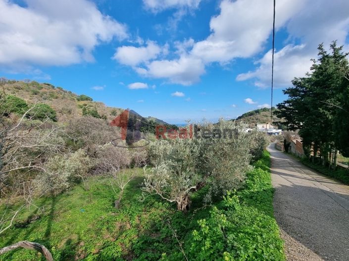 Image No.2-Propriété à vendre à Glossa