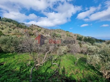 imgdcc63a3b-292a-46cb-a031-abb713bc5e3a