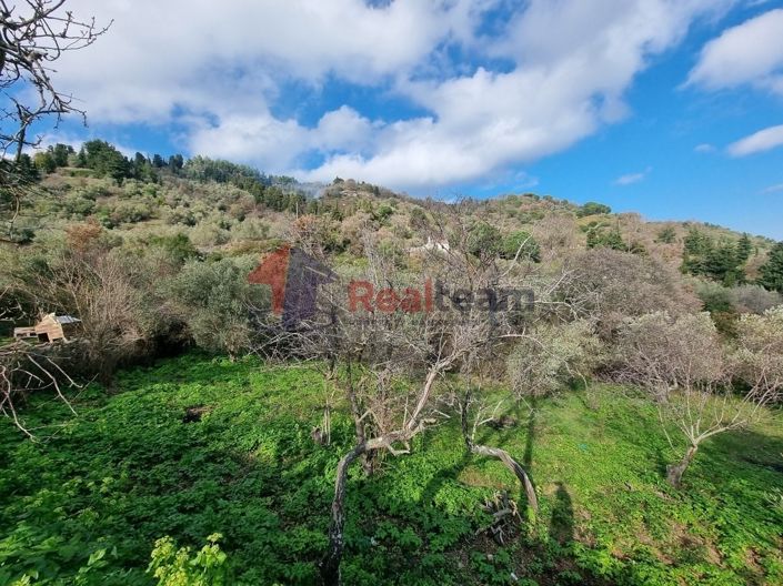 Image No.5-Propriété à vendre à Glossa