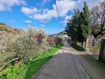 img19de42d5-3ed9-4e46-b0b1-20f6fa6190ab