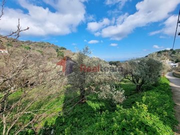 img23c4b229-f14c-4367-93b3-0271eb51bd7d