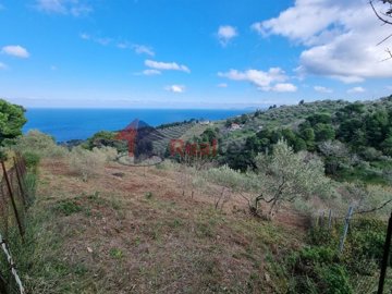 img0dfab288-d618-4b36-a6e2-ad7be1a0a81f