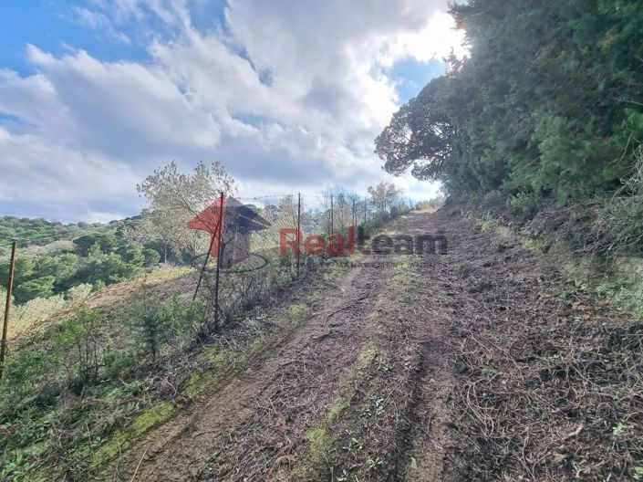 Image No.10-Propriété à vendre à Glossa