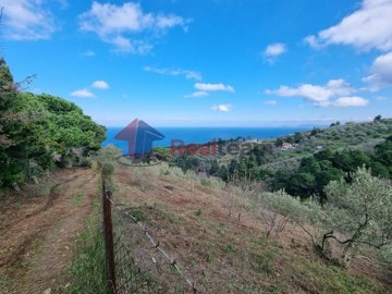 img1ce52163-6c44-48f6-9691-79d6bd70553d