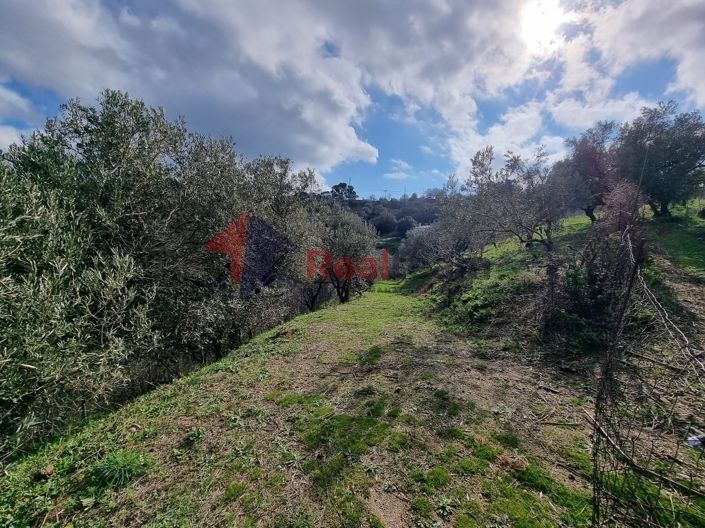 Image No.13-Propriété à vendre à Glossa