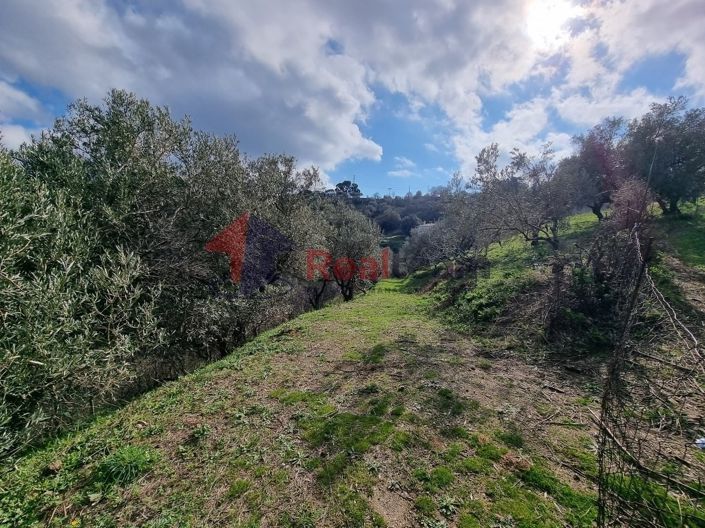 Image No.14-Propriété à vendre à Glossa