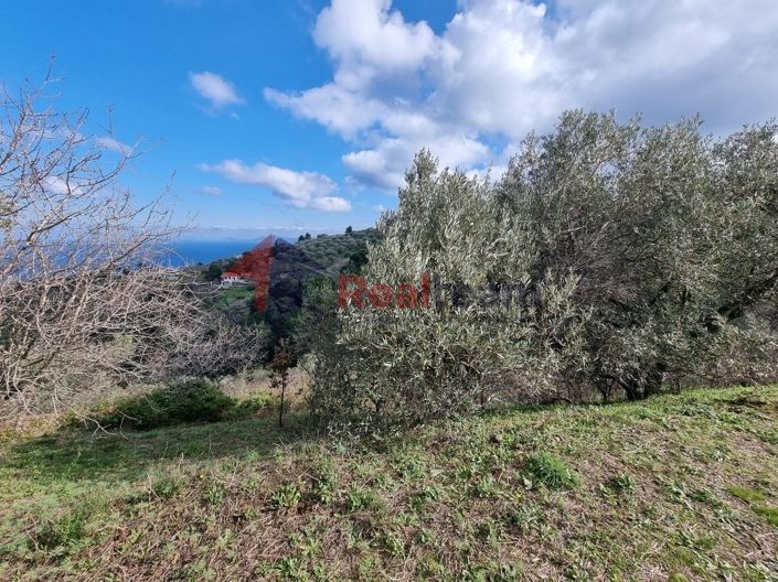 Image No.16-Propriété à vendre à Glossa