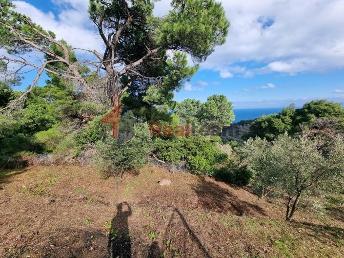 Image No.5-Propriété à vendre à Glossa