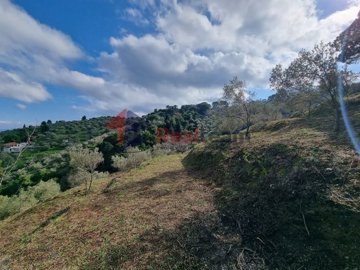 img0e7c5435-3bac-42ef-a766-1f204f0c7d49