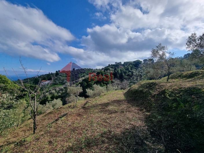 Image No.7-Propriété à vendre à Glossa