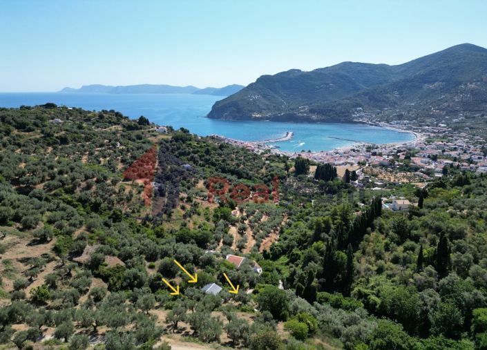 Image No.2-Propriété de 1 chambre à vendre à Chora