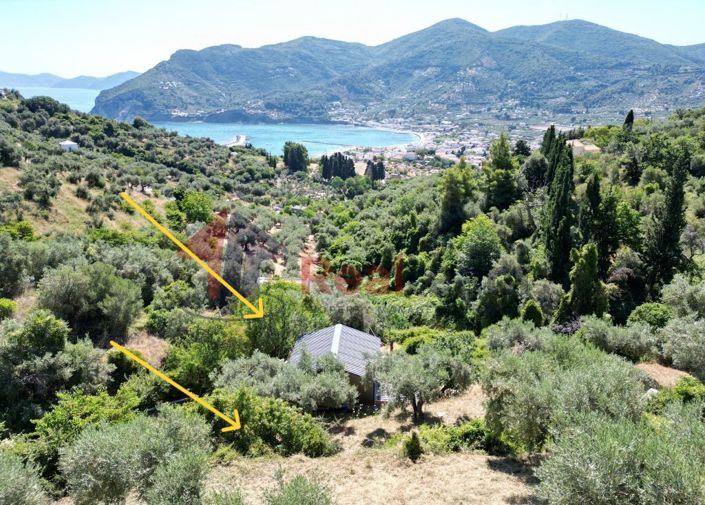 Image No.6-Propriété de 1 chambre à vendre à Chora