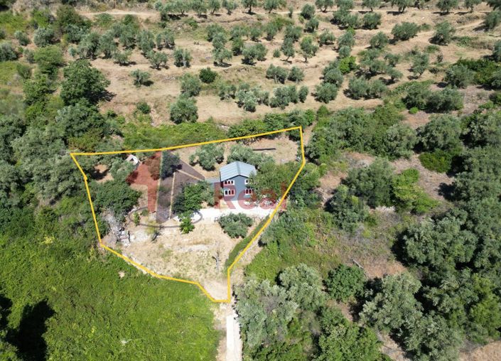 Image No.9-Propriété de 1 chambre à vendre à Chora