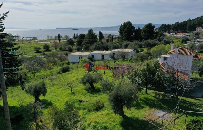 Image No.4-Propriété à vendre à Skopelos