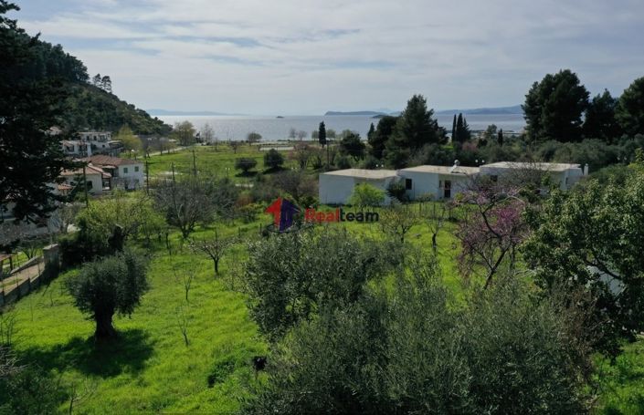 Image No.5-Propriété à vendre à Skopelos