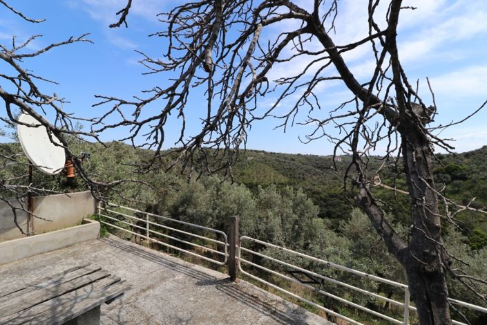 Image No.19-1 Bed Property for sale