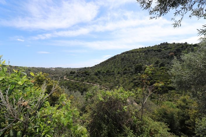 Image No.21-1 Bed Property for sale