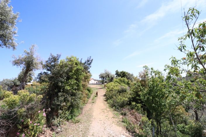 Image No.23-1 Bed Property for sale