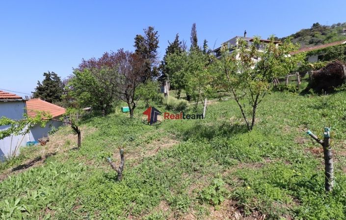 Image No.10-Propriété à vendre à Glossa