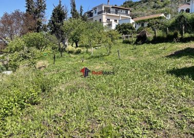 img0666ae7b-4b0e-4a70-902e-132a0f4e3f46