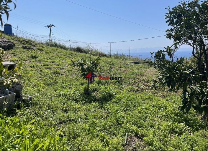 Image No.13-Propriété à vendre à Glossa