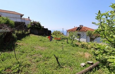 imgdf73fe8a-98e4-4355-adb6-dfd45f3da5da