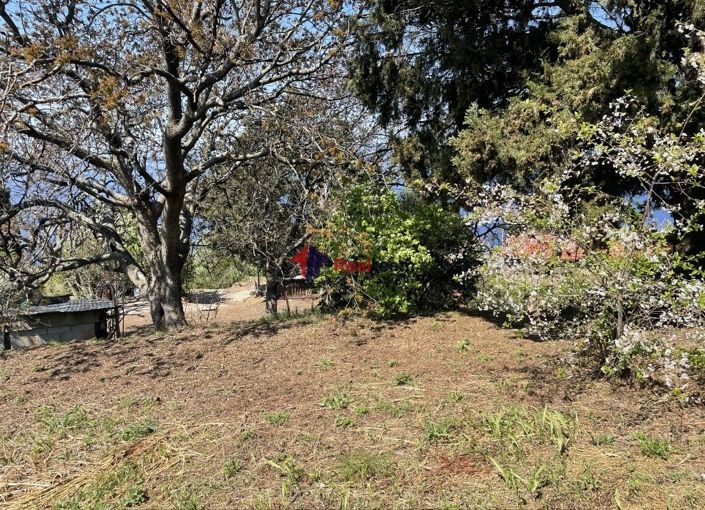 Image No.20-Propriété à vendre à Glossa