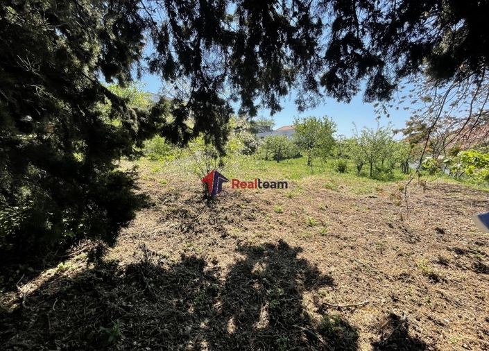 Image No.22-Propriété à vendre à Glossa