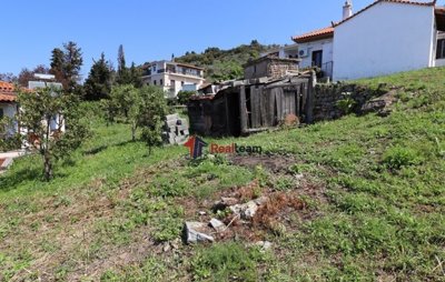 img955ed811-7f95-4a25-87f0-da44061232f5