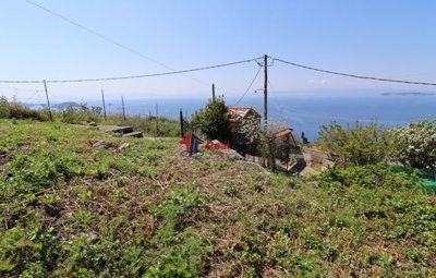 imgfc36e913-548e-422f-b2f3-ebcf4294f9b1