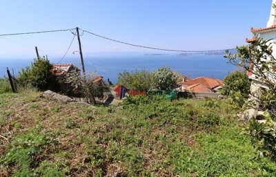 img54a02572-ee77-4096-9078-87abc96a4d6f