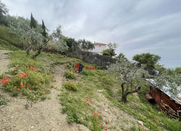 img204a2075-c52a-4033-81dd-3e7912f46724