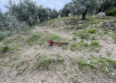 img085d6b69-fcac-4d40-ba75-abc94a3a536c