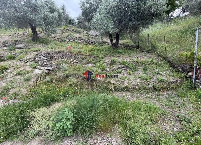 Image No.14-Propriété à vendre à Glossa