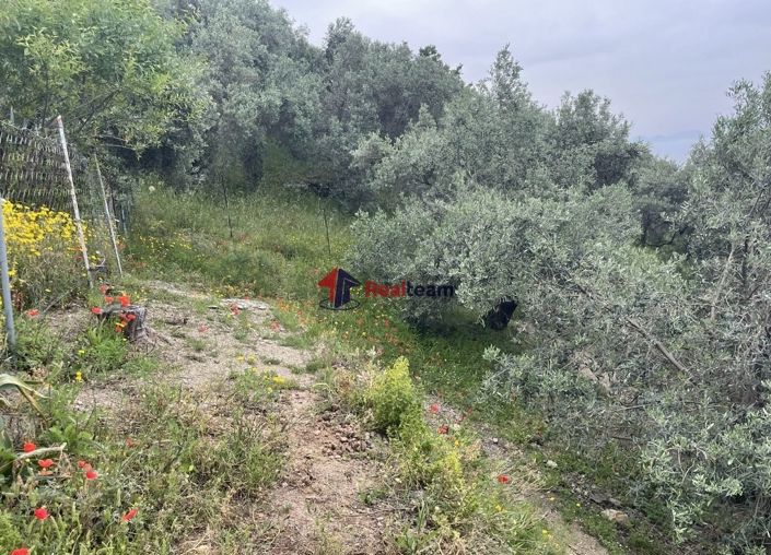 Image No.16-Propriété à vendre à Glossa