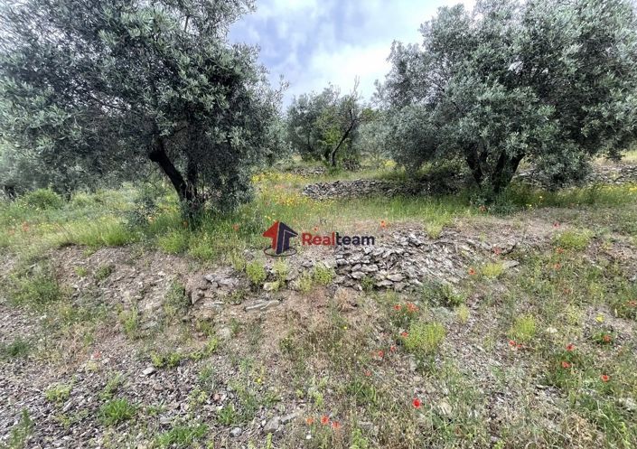 Image No.18-Propriété à vendre à Glossa