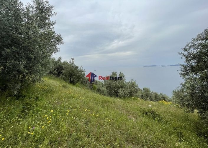 Image No.19-Propriété à vendre à Glossa