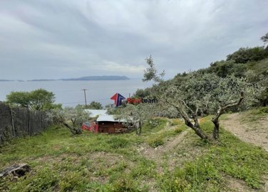 img33822aa5-ae83-4452-a34e-c808e2471bd2