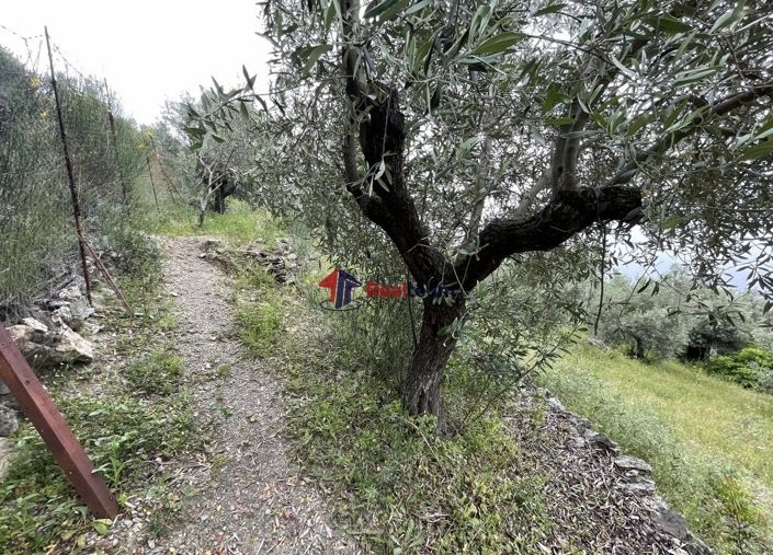 Image No.20-Propriété à vendre à Glossa