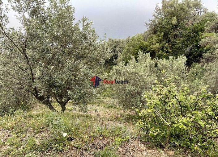 Image No.21-Propriété à vendre à Glossa