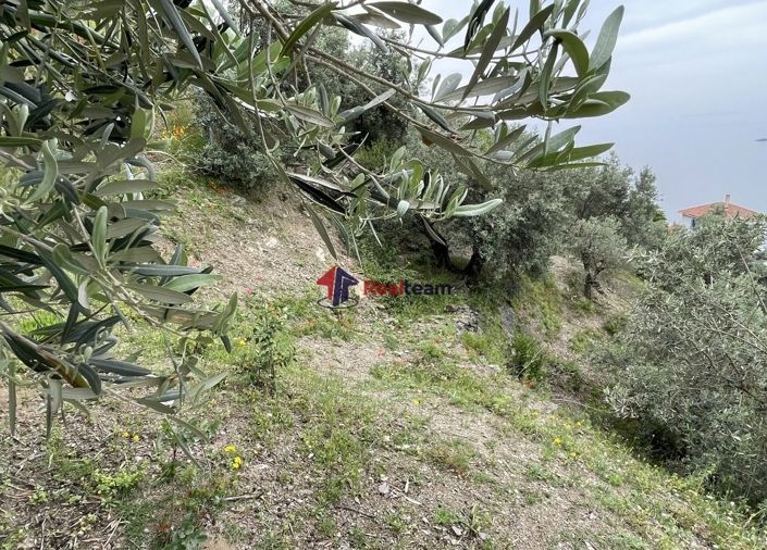 Image No.22-Propriété à vendre à Glossa