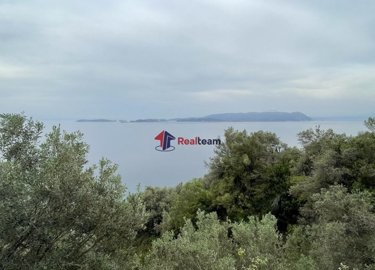 img900eba8a-ef1f-4b0f-b2cb-1160bcd41922