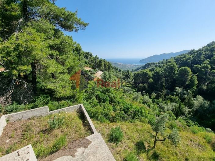 Image No.11-Propriété de 1 chambre à vendre à Chora