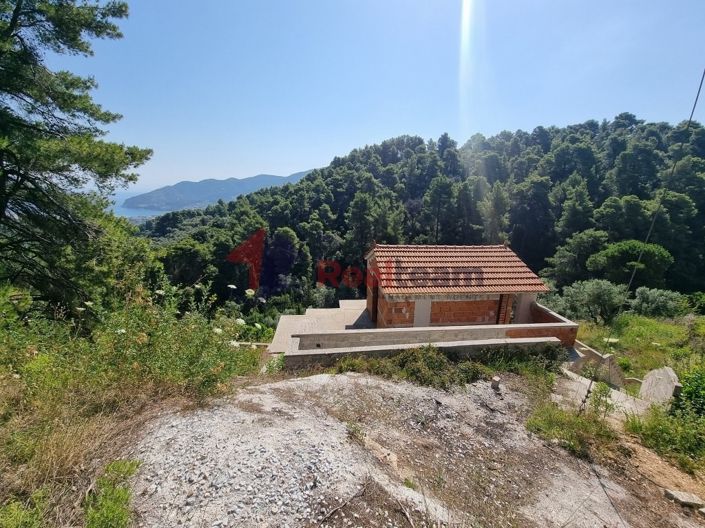 Image No.2-Propriété de 1 chambre à vendre à Chora