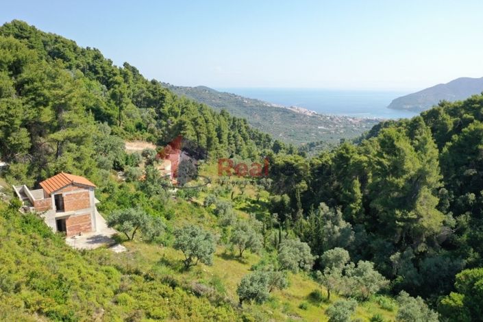 Image No.21-Propriété de 1 chambre à vendre à Chora