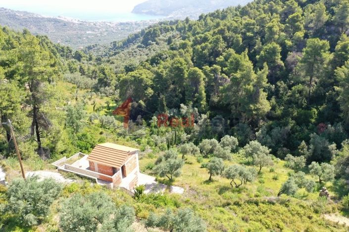 Image No.25-Propriété de 1 chambre à vendre à Chora