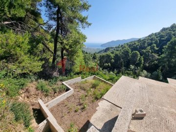 img24aacc52-1b6d-4000-8684-61144734c4b7