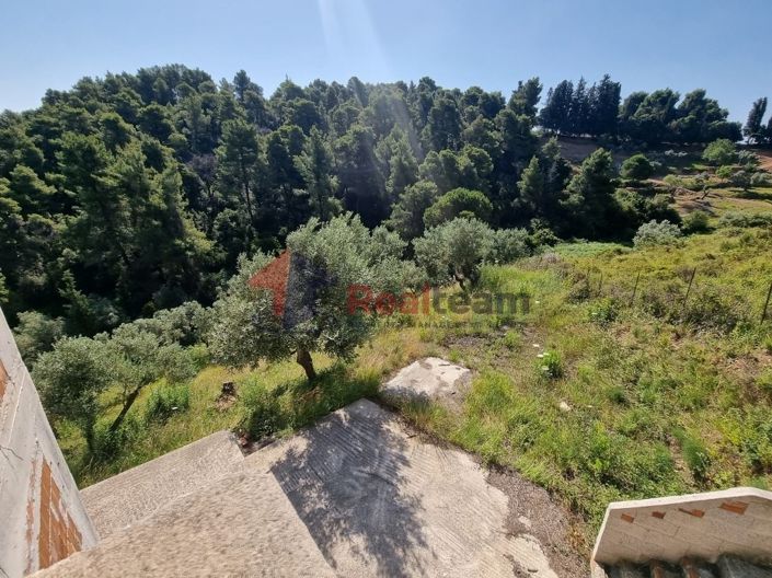 Image No.7-Propriété de 1 chambre à vendre à Chora