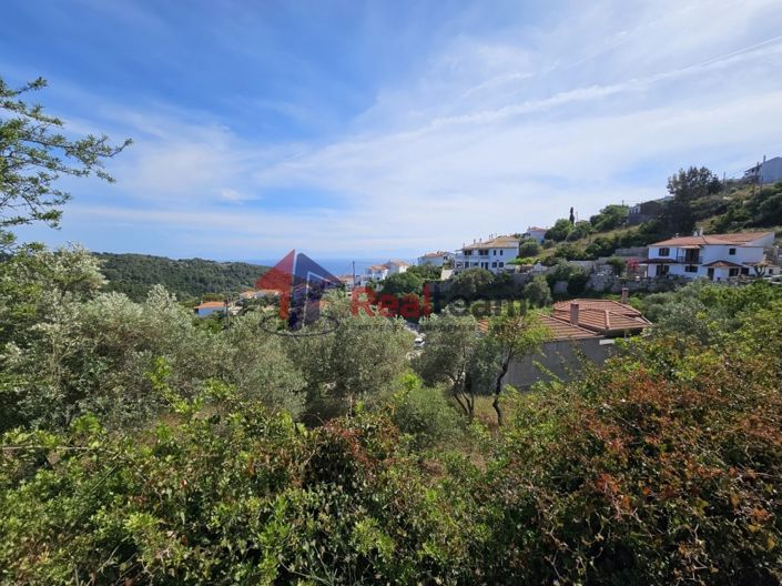 Image No.3-Propriété à vendre à Alonnisos