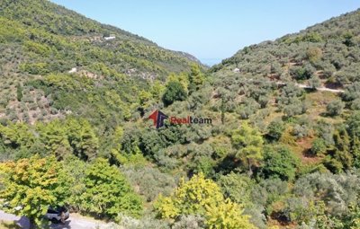 1 - Skopelos, Propriété